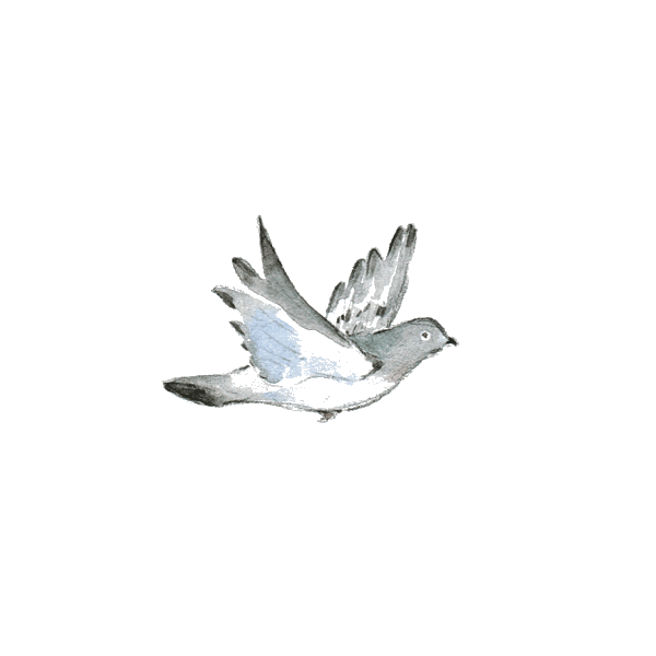 Animated birds flying over luxury villa landscape