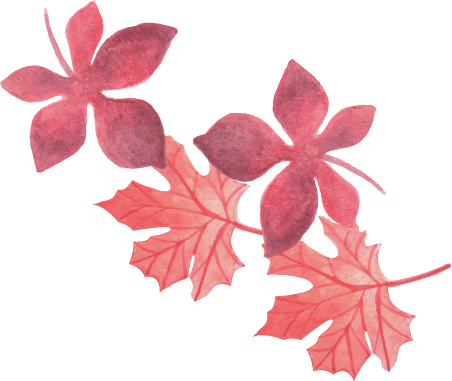 Graphic element for luxury villa branding